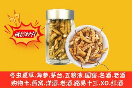 宜春市铜鼓回收散虫草